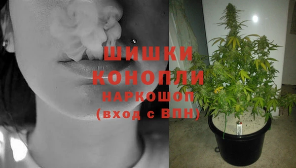 дмт Кукмор