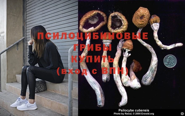 дурь Кулебаки